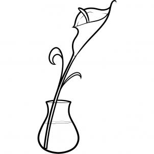 How to Draw a Calla Lily, Step by Step, Flowers, Pop Culture, FREE ...