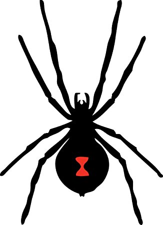 Amazon.com: Black Widow Spider Wall Decal Sticker 1 - Decal ...