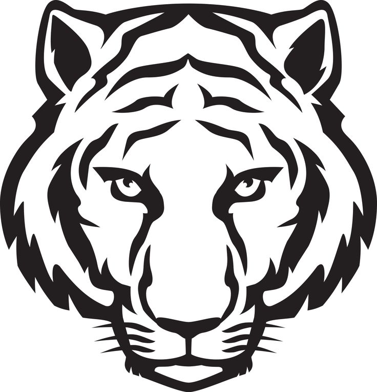 1000+ images about white tiger cakes