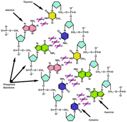 Molecular Biology | Pharmaceutical Intelligence