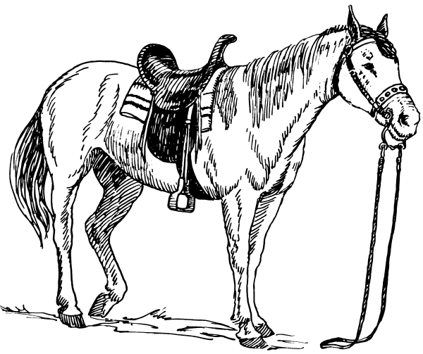 horse coloring pages for kids