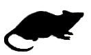 Telecanter's Receding Rules: Silhouettes XXV