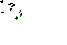 Free Leaf Animation at Best Animations - Leaves