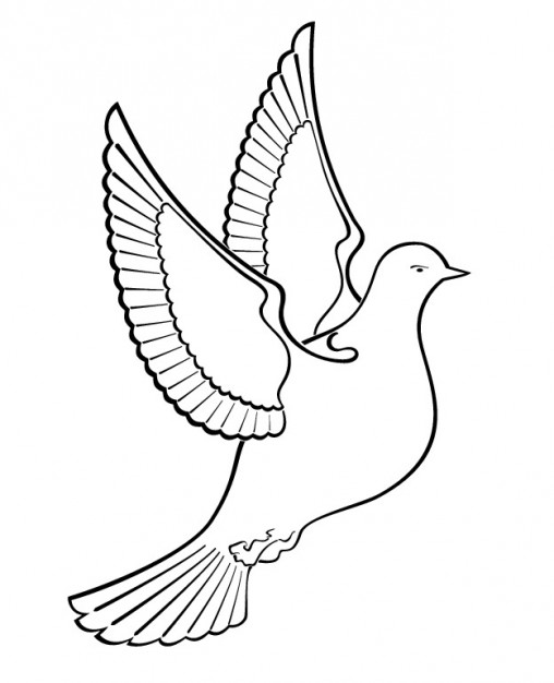 Outlined dove bird | Download free Vector