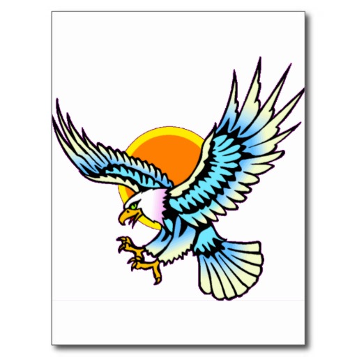 Bald Eagle in Flight Post Cards from Zazzle.