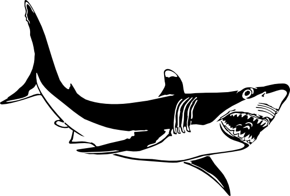 SVG colouringbook.