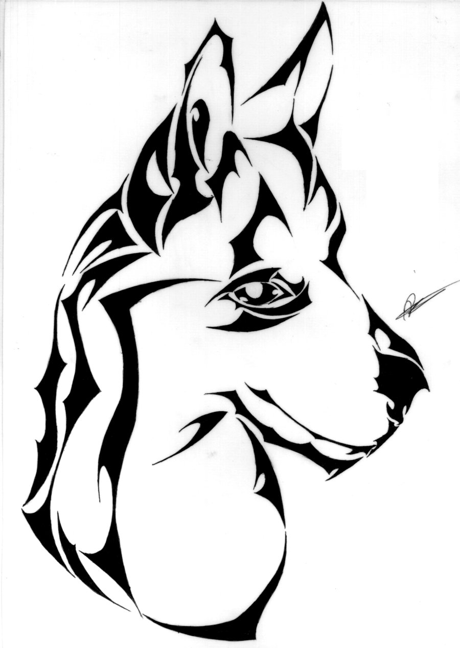 deviantART: More Like Tribal Lion Coloured by