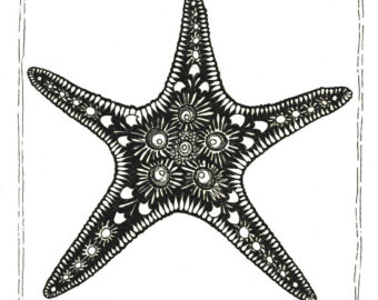 starfish image
