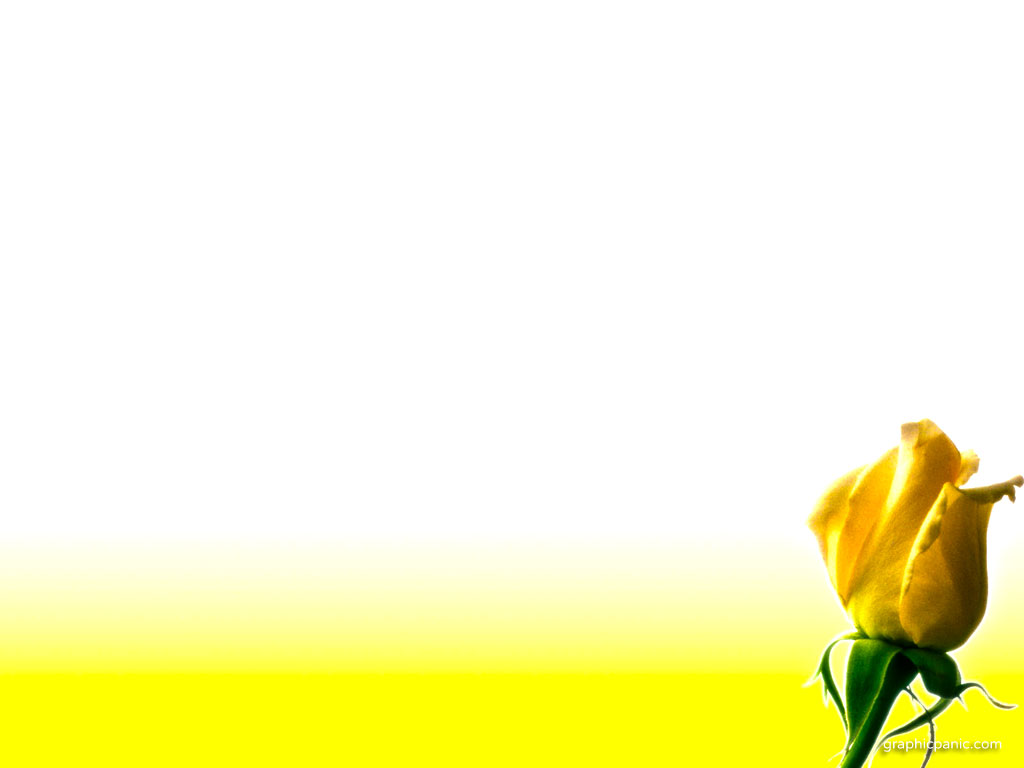 yellow | PowerPoint Background & Templates