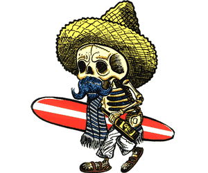 Sombrero Skeleton Photo by GiantPanda_2008