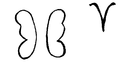 5815297624_583361e280.jpg