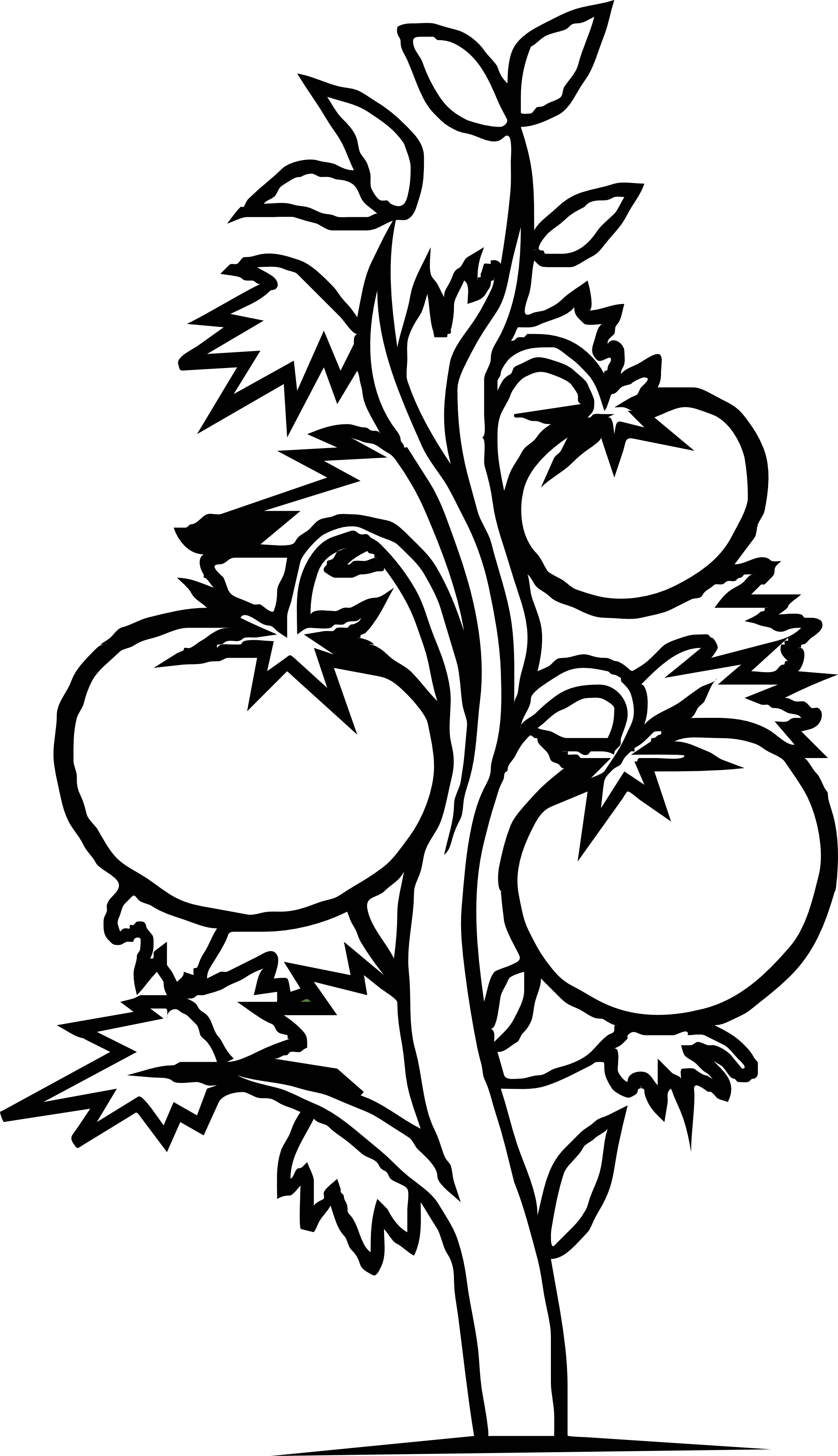 Tomato Plant Black White Line Art Coloring Book Colouring Flowers ...