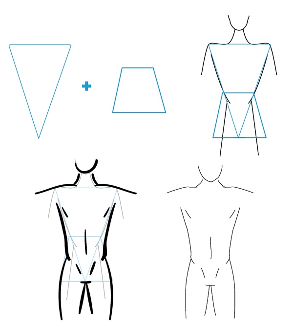 How to Draw Different Body Types for Males and Females | Vectortuts+