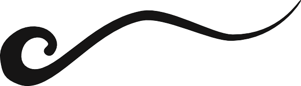 wave-line-black-hi.png