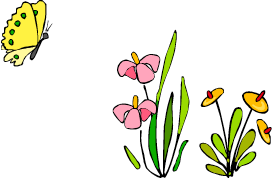 Wild Living: A Guide to Wildlife Friendly Gardens in Victoria ...