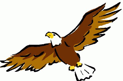 Free Eagle Clip Art Pictures - Clipartix