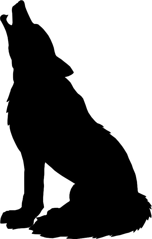 Coyote clipart clipart for you image #31693