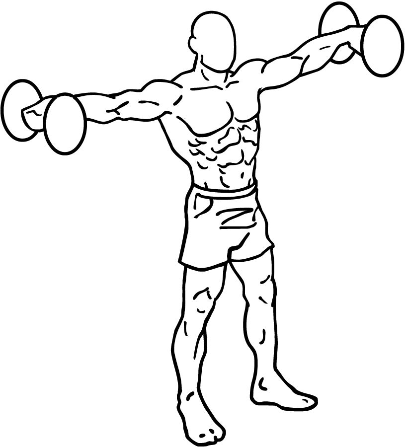 Arm Bones Diagram - ClipArt Best