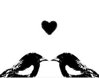 black and white bird