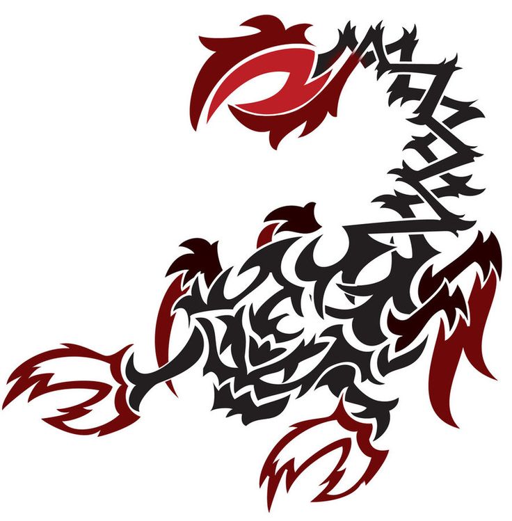 Tribal Scorpion Tattoo