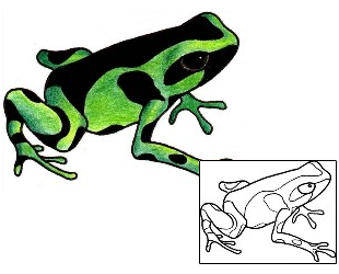 Tattoo Johnny | Frog Tattoos