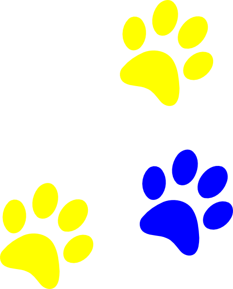 Wildcat Paw Prints