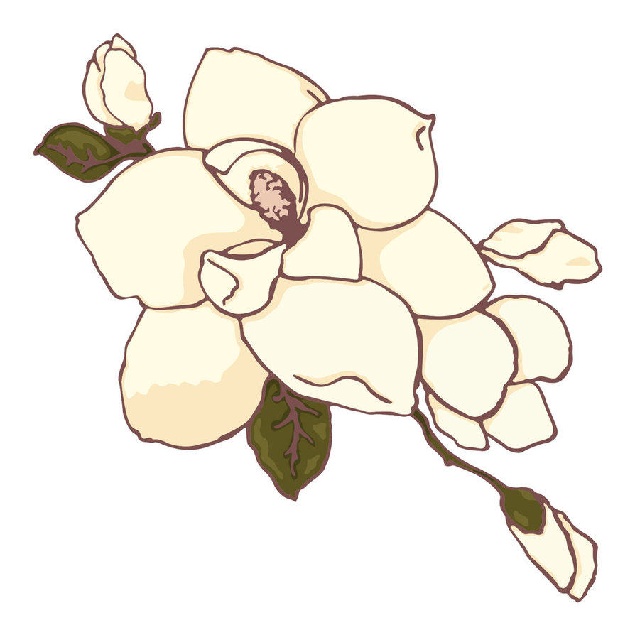 Magnolia Clip Art - Tumundografico