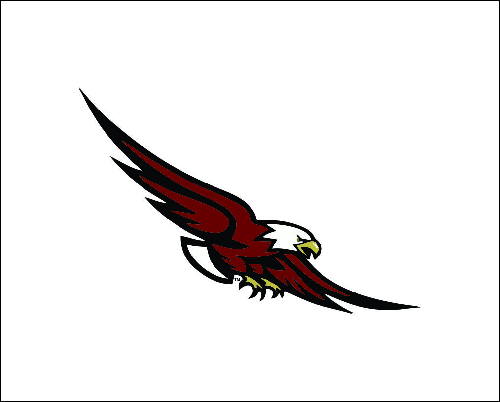 Flying eagle Animal logo