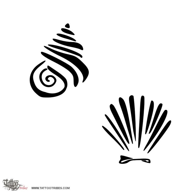 Seashell Tattoo Designs
