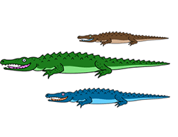 cartoon_crocodile.gif