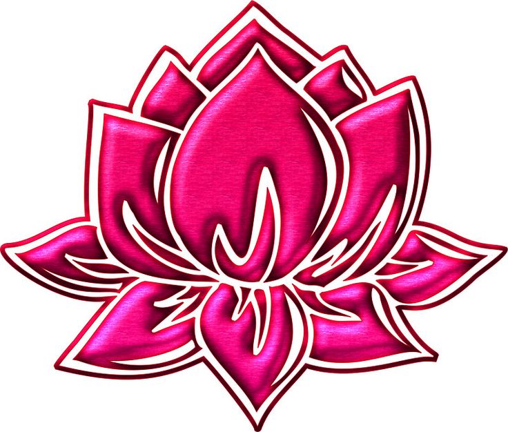 Lotus Flower Symbolism | Lotus ...