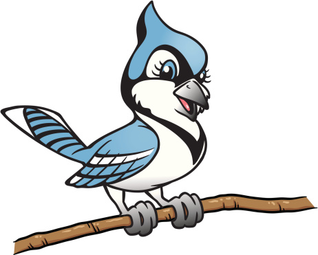 Blue Jay Clip Art, Vector Images & Illustrations