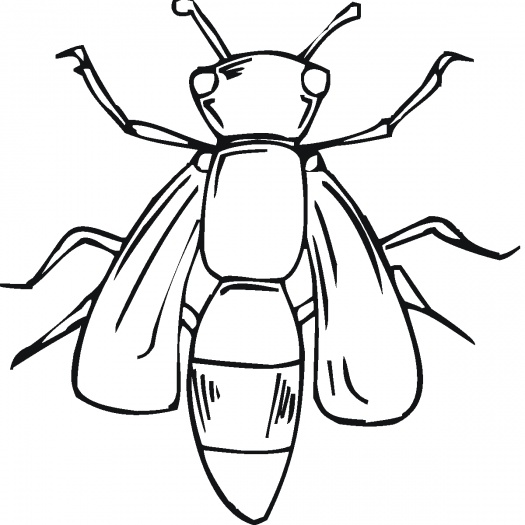 Bumble Bee coloring page | Super Coloring