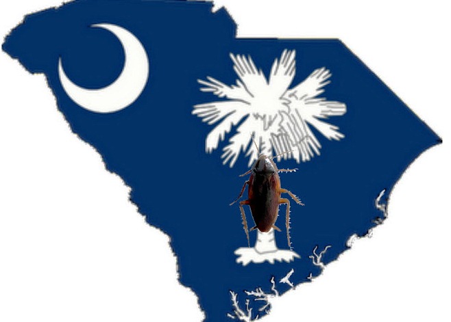 South Carolina Palmetto Tree - ClipArt Best