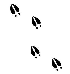 Deer Track Tattoo | Browning Tattoo ...