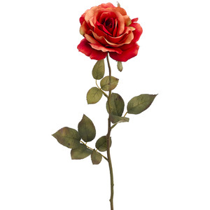 Flowers - Polyvore