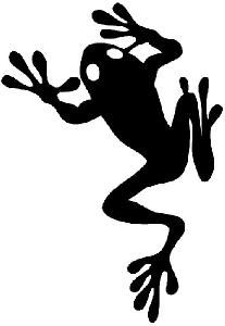 Footprint, Stamps and Frogs