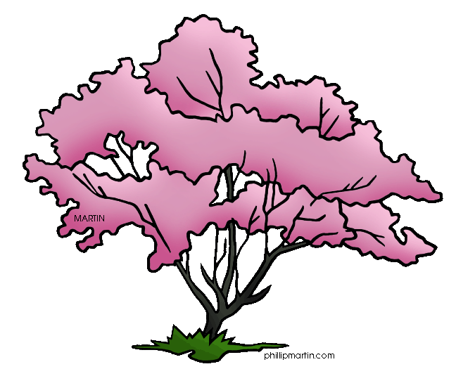 Dogwood Clipart - Tumundografico