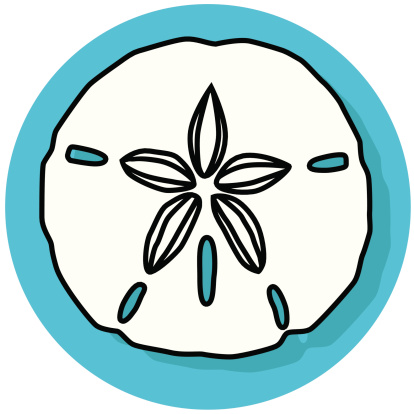 Sand Dollar Clip Art, Vector Images & Illustrations