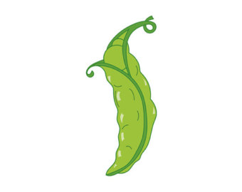 Pea in a pod clipart | Etsy
