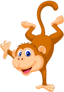 Monkey Images