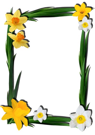 Png flower frames for photoshop