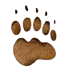 Biological Diveristy - Grizzly Bears - Grade 9 Science - by ...