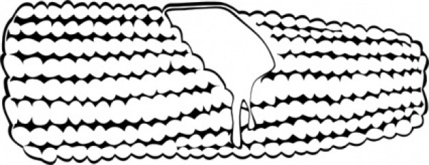 Corn On The Cob (b And W) clip art | Download free Vector