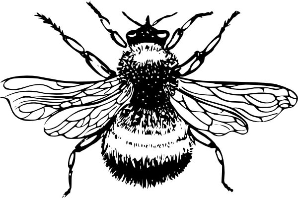 Bumblebee Tattoo Clip Art