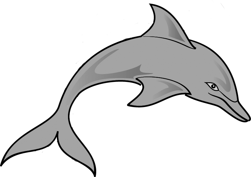 Dolphin