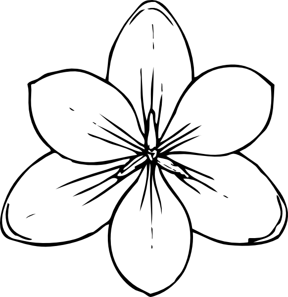 Flower Drawing Templates