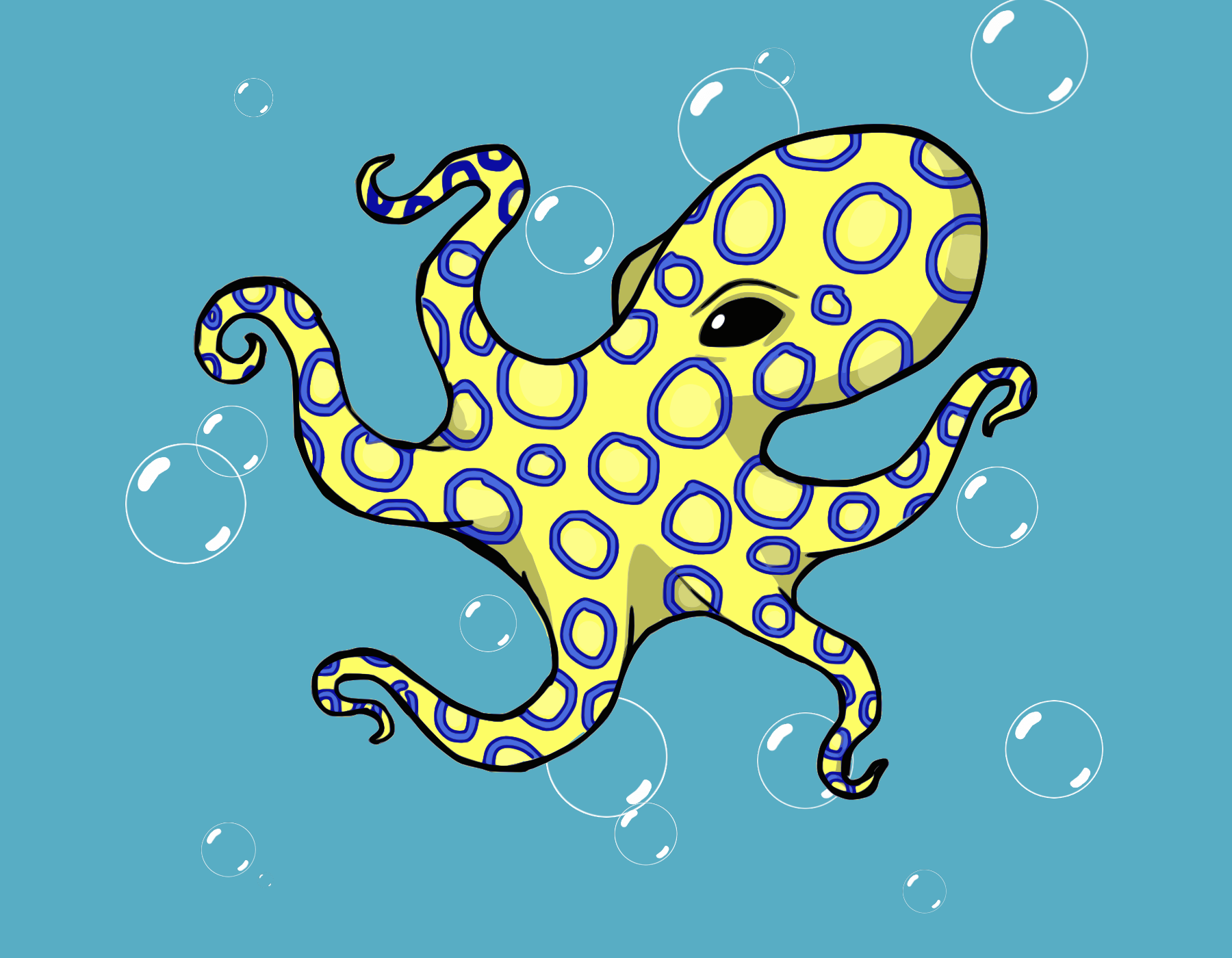 Blue Ringed Octopus | Noadi's Art