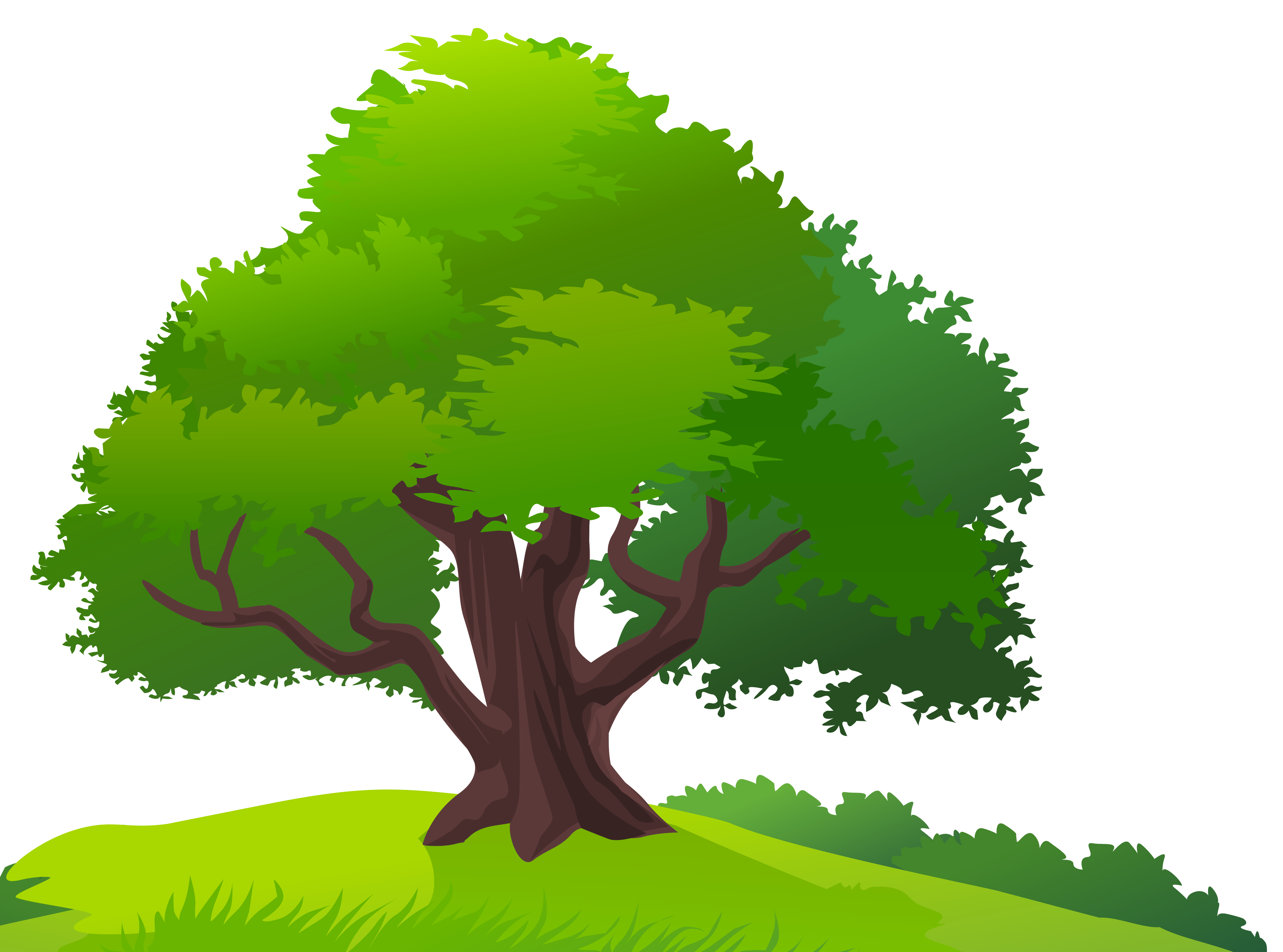 Tree and Grass PNG Clipart Image