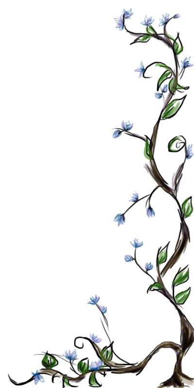 Flower Vines | Passion Flower ...